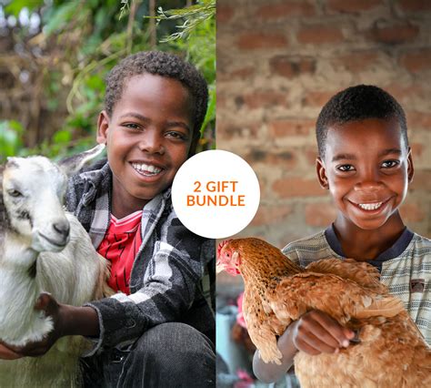 buy a goat charity gift|chicken charity gift.
